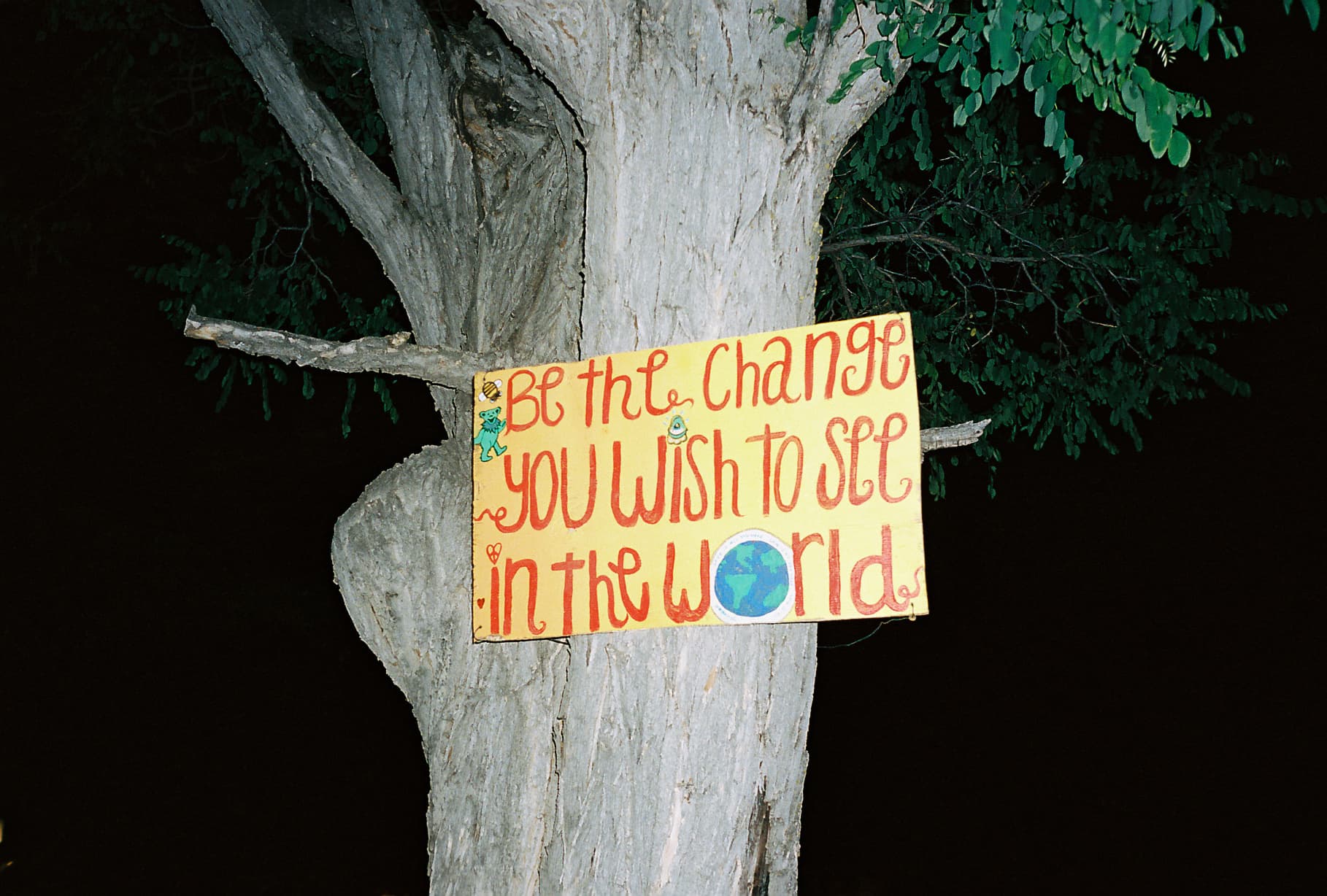 Film photograph — frame 1